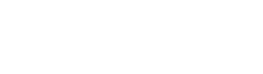 reporterswithoutborder_logo