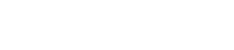 The Washington Time_Logo