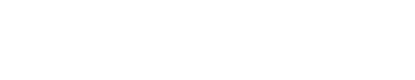The Nation_Logo